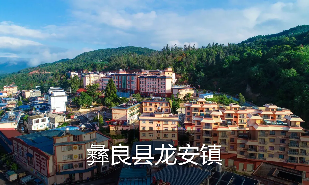 彝良县龙安镇