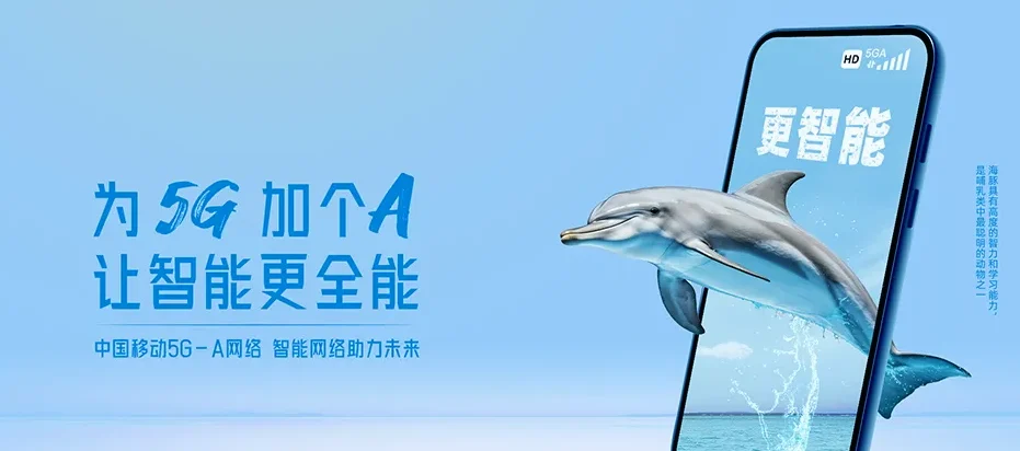 彝良县彝良县角奎街道 移动宽带